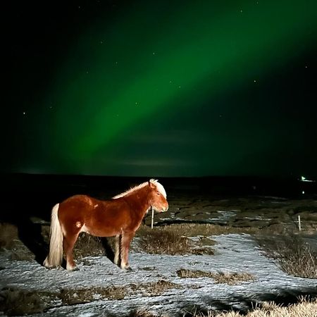 Guesthouse Didi Flagbjarnarholt Екстериор снимка