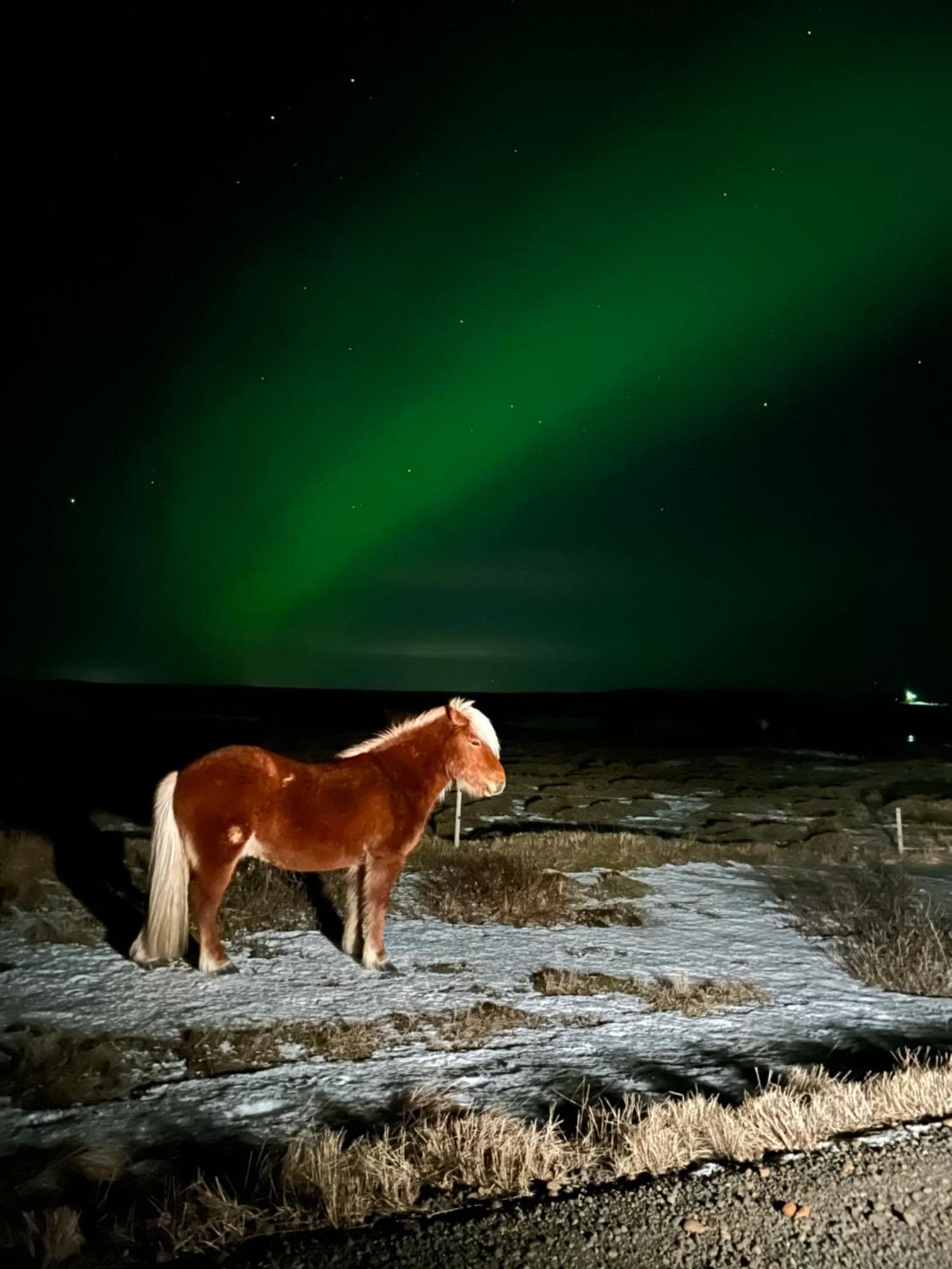 Guesthouse Didi Flagbjarnarholt Екстериор снимка